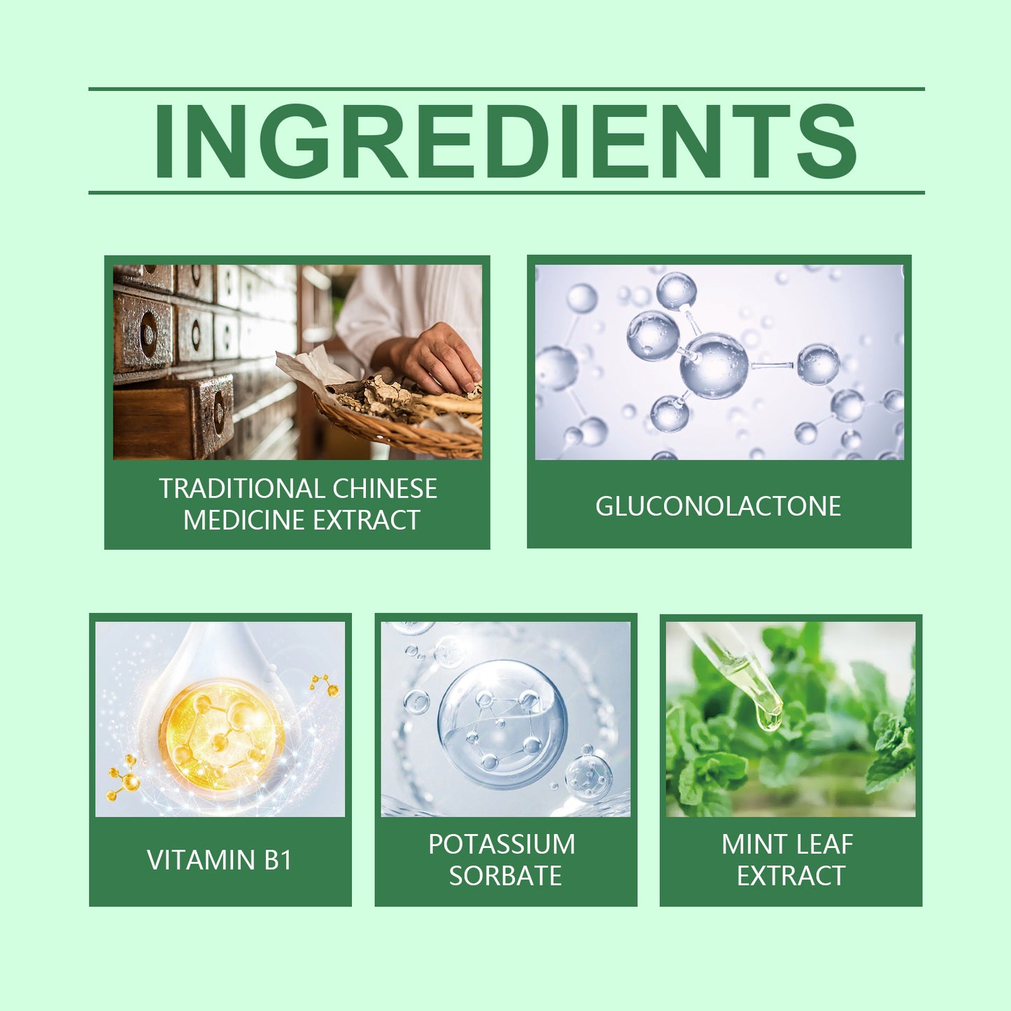 Digestive and Intestinal Health Drops – Organic Oregano Oil Treatment