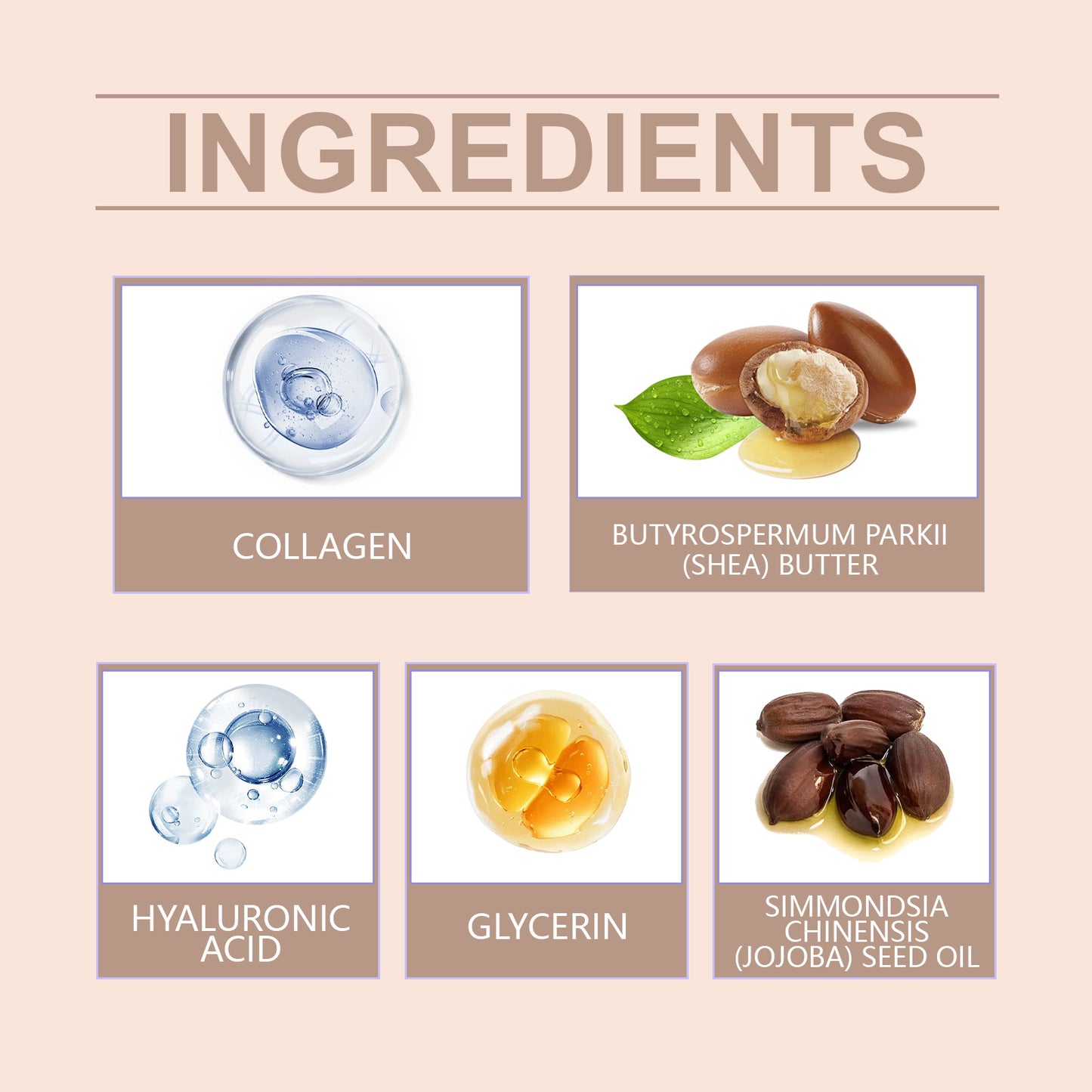 OceAura Shea Butter Moisturizer – Gentle Daily Body Care Lotion