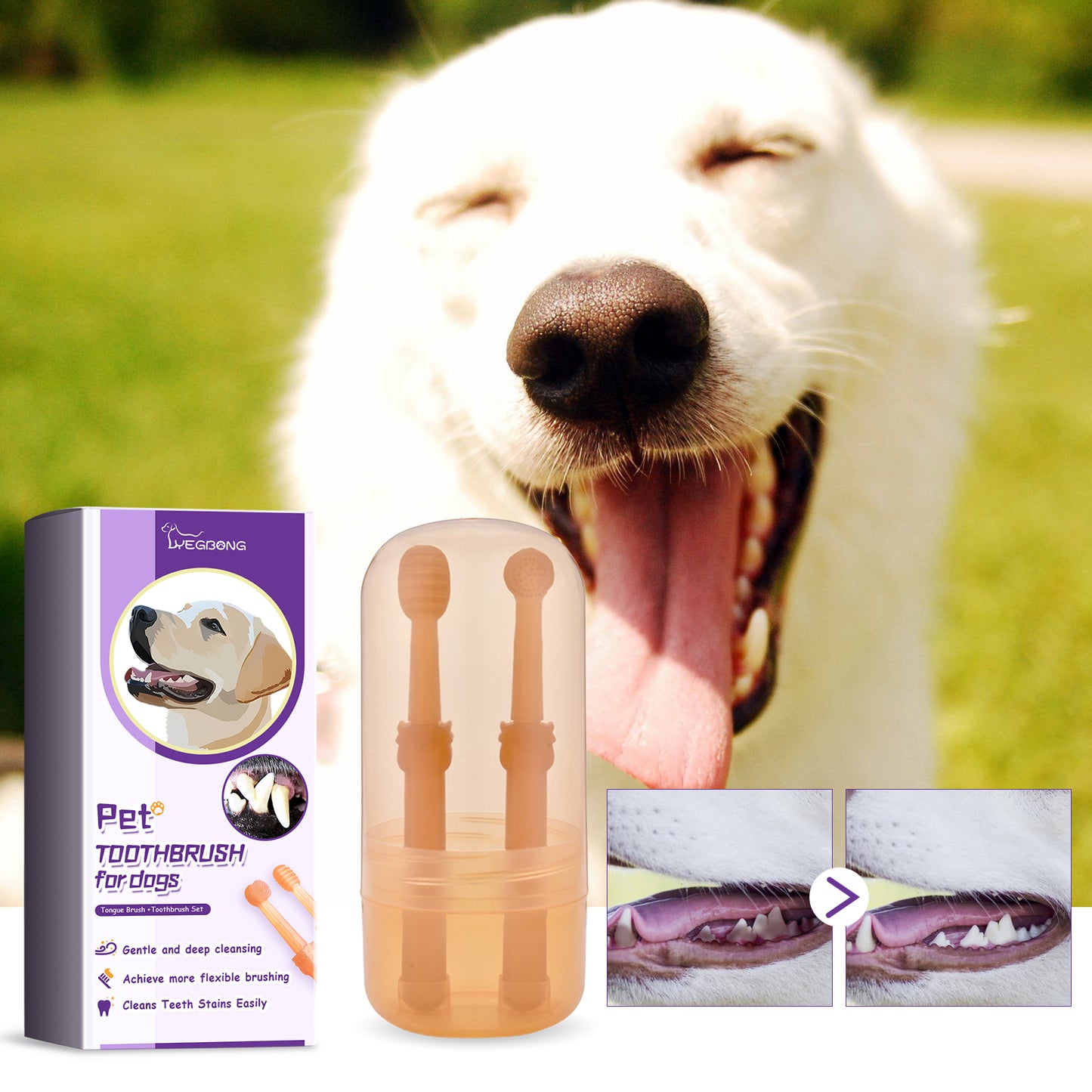 Pet Toothbrush for Dogs – Oral Cleaning, Remove Dental Stains & Support Dental Health