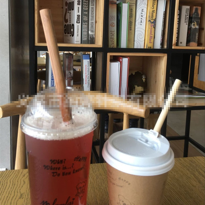 100PCS Eco-Friendly Reusable Bamboo Straws – 21.5cm Carbonized Drinking Straws