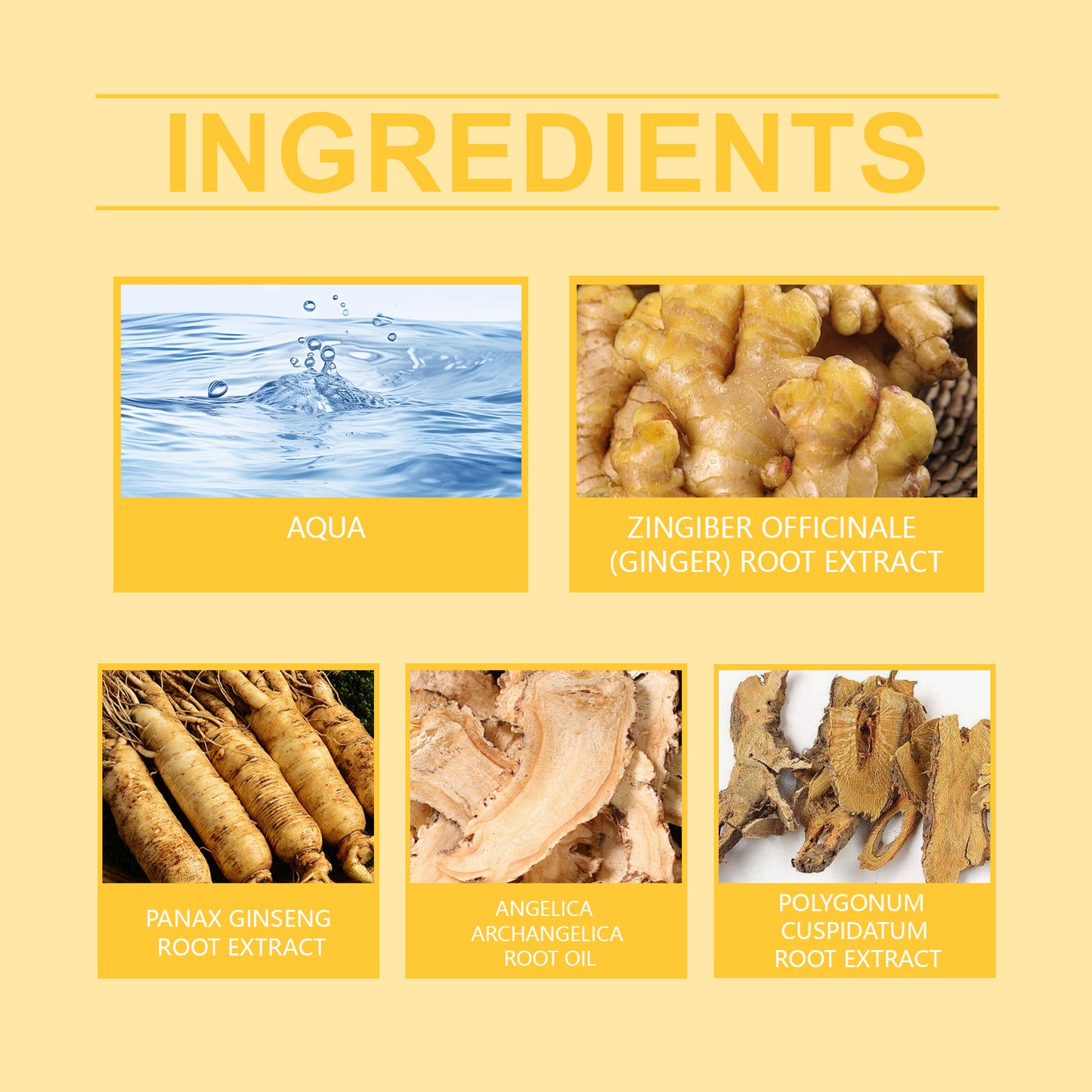 Hoegoa Hair Care Herbal Serum – Revitalizing Scalp & Hair Flourish Oil Serum