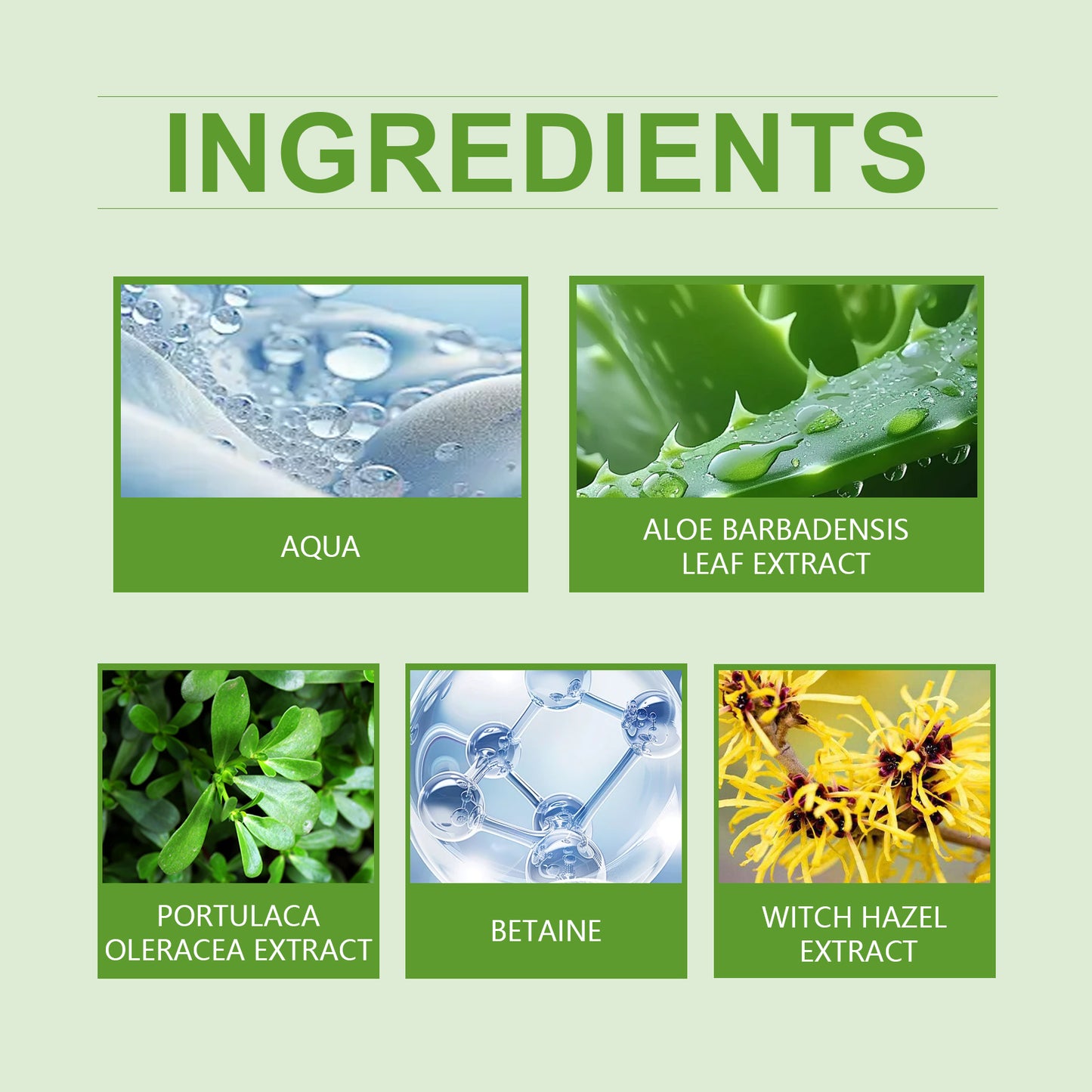 Purslane Soothing Repair Serum – Redness Relief, Hydrating & Moisturizing