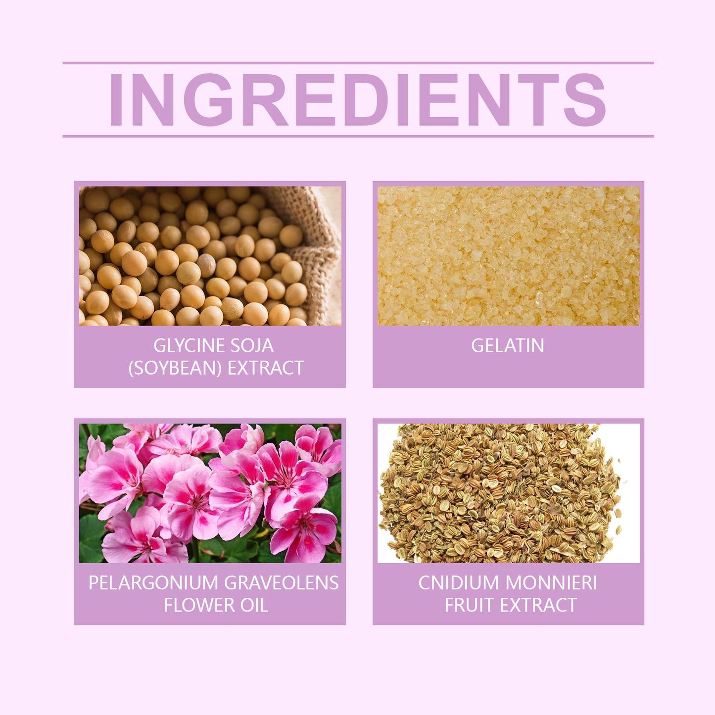 North Moon Women’s Body Care Capsules – Gentle Moisturizing & Daily Comfort