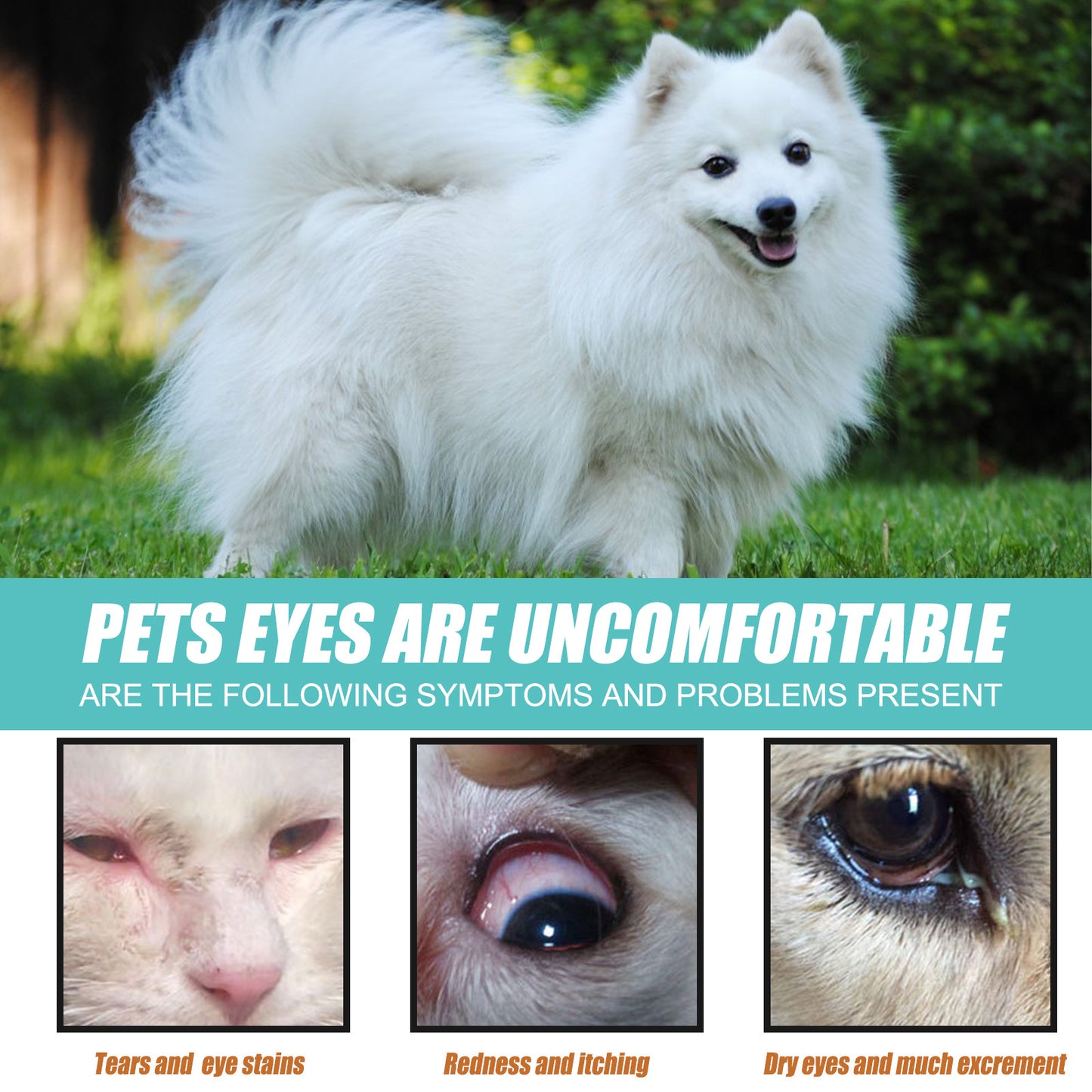 Tear Duct Serum – Pet Eye Stain Removal for Dogs & Cats