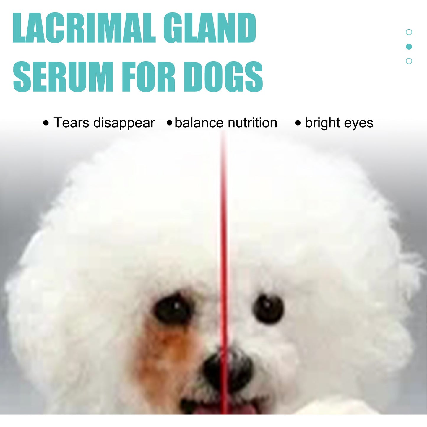 Tear Duct Serum – Pet Eye Stain Removal for Dogs & Cats