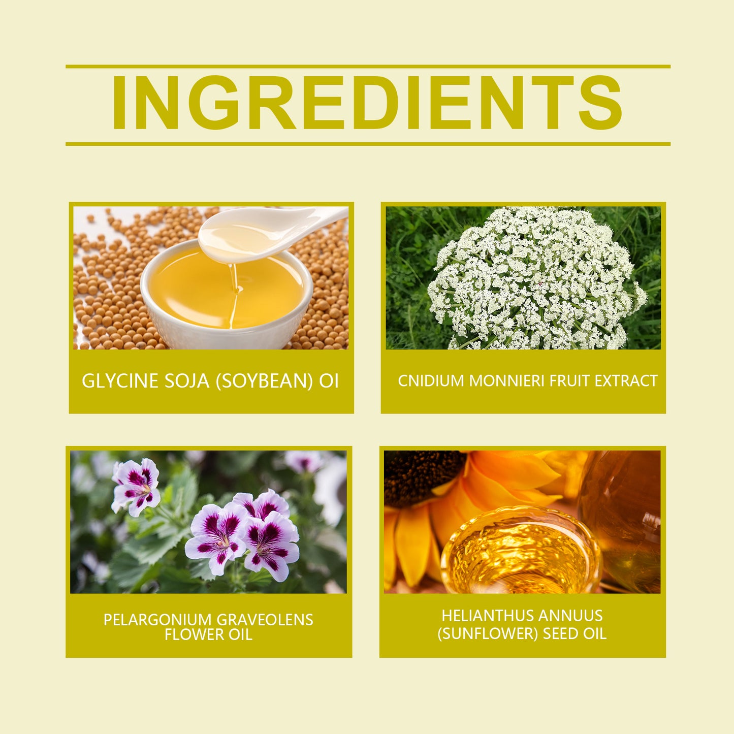 North Moon Women’s Care Capsules – Gently Clean, Nourish & Firm Body Skin Balance