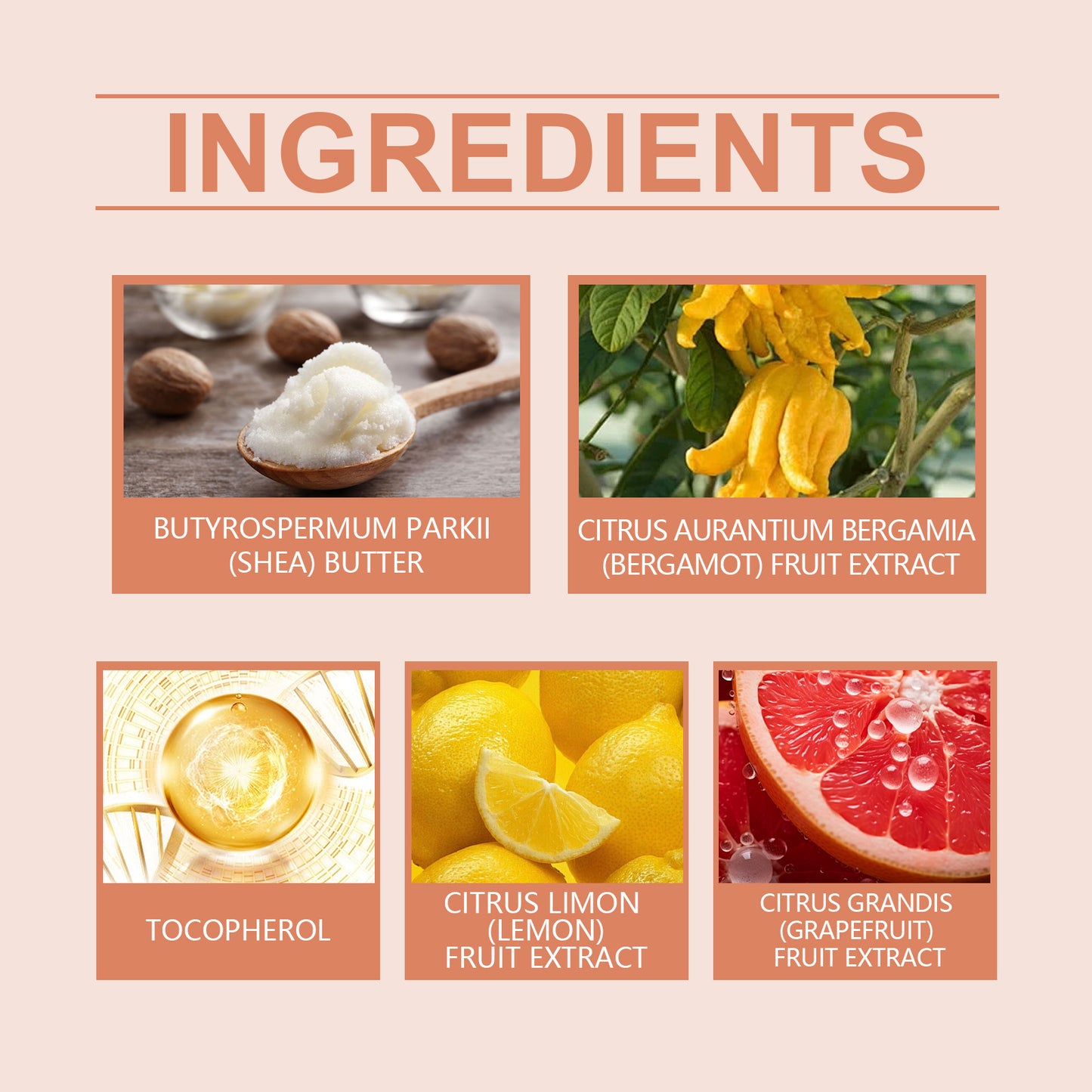 WoodSleep Body Butter Moisturizer – Hydrating Bergamot & Grapefruit Care