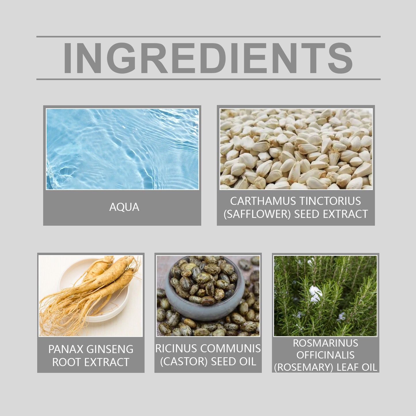 Hair Care Serum – Strengthens Hair & Nourishes Scalp with Daily Massage Treatment