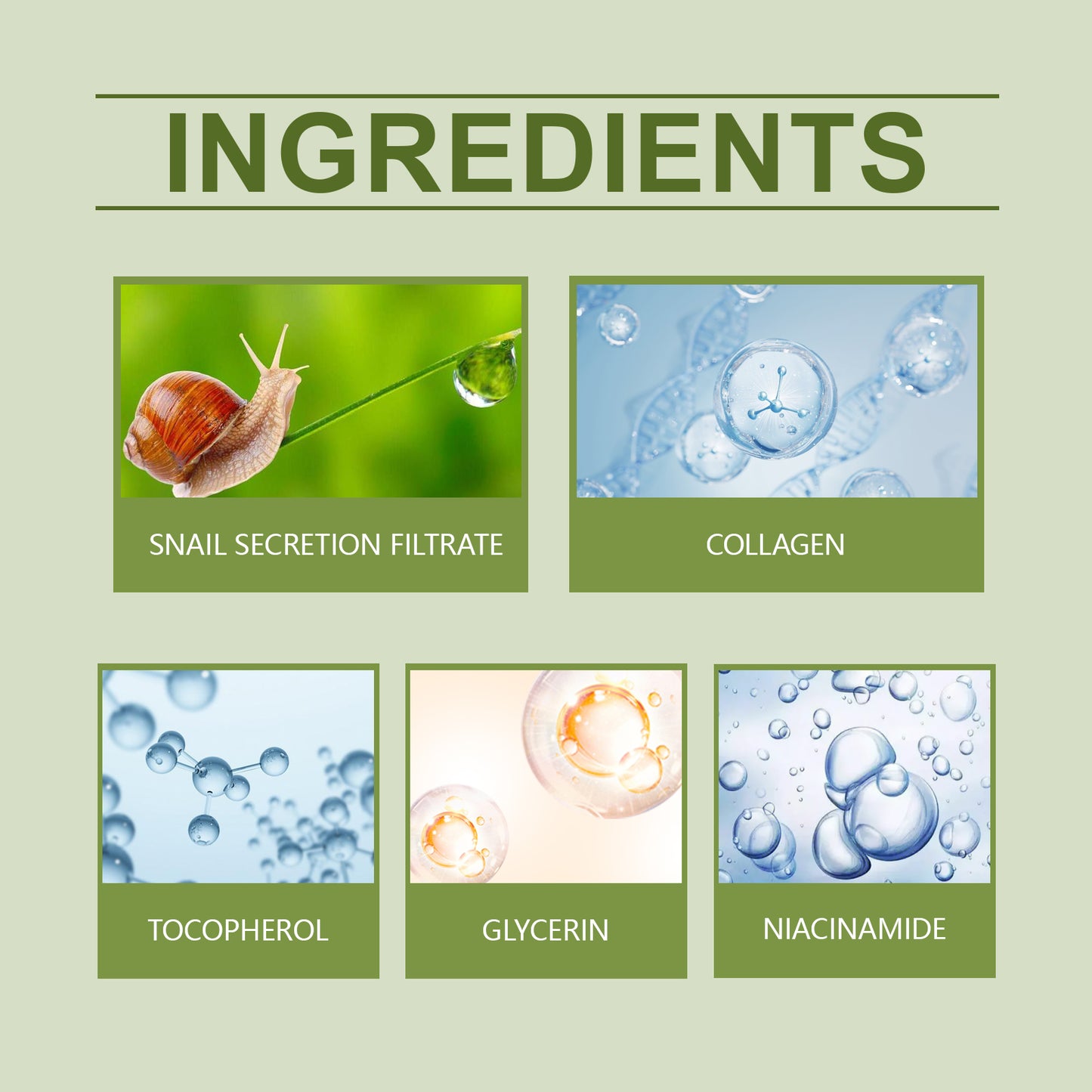 Green Tea Moisturizing Face Cream – Oil Control & Skincare Balance