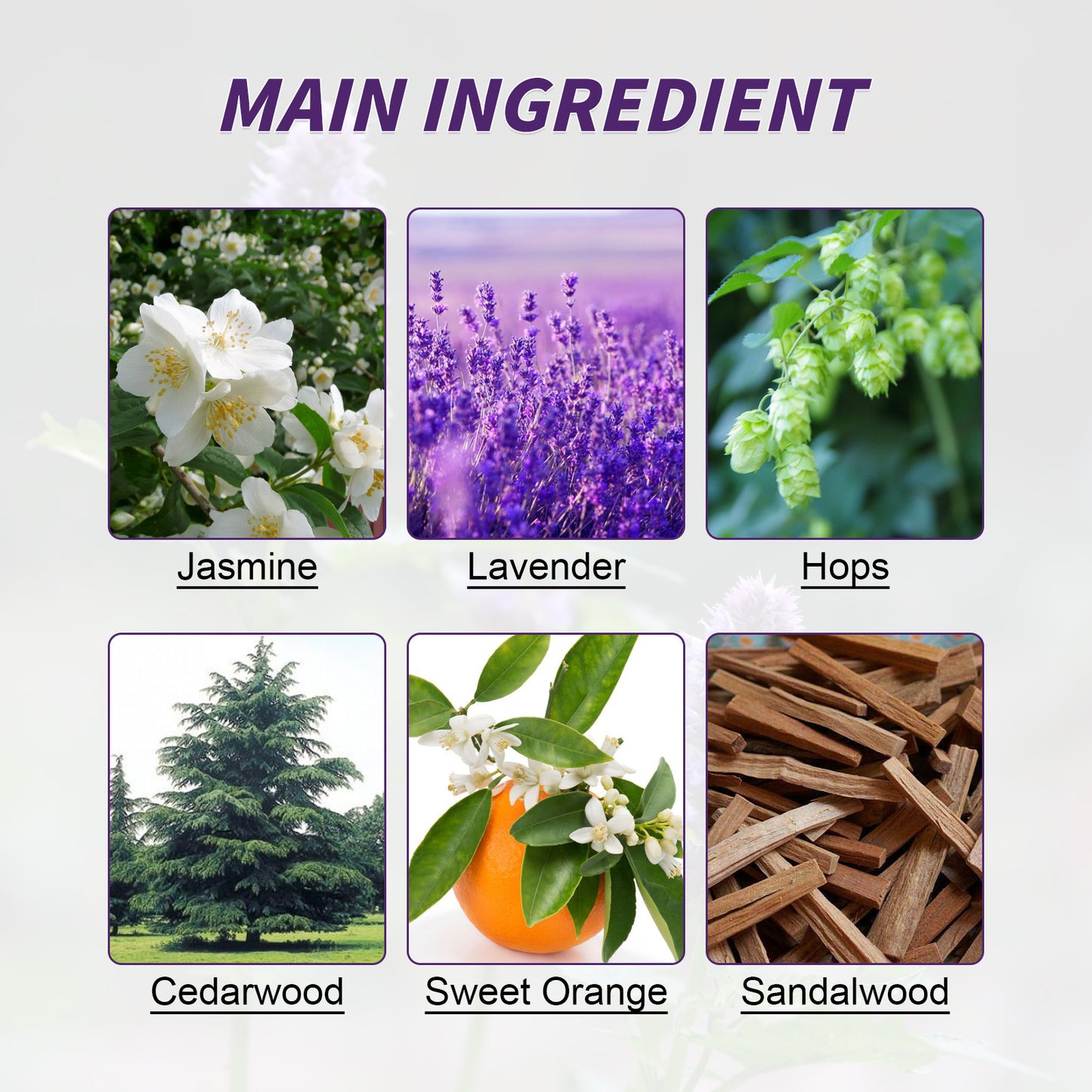 Herbal Sleep Patch – Care for Sleep, Relaxation & Body Pressure Relief