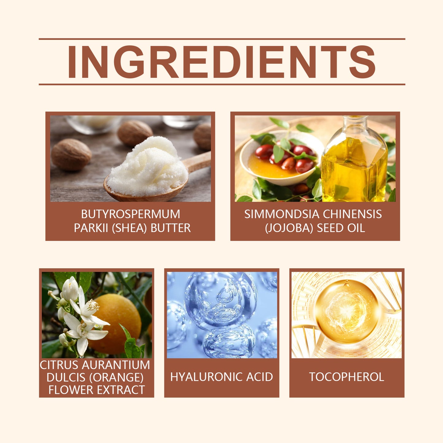 Shea Butter Moisturizer – Hydrating & Smoothing Skin Care Cream