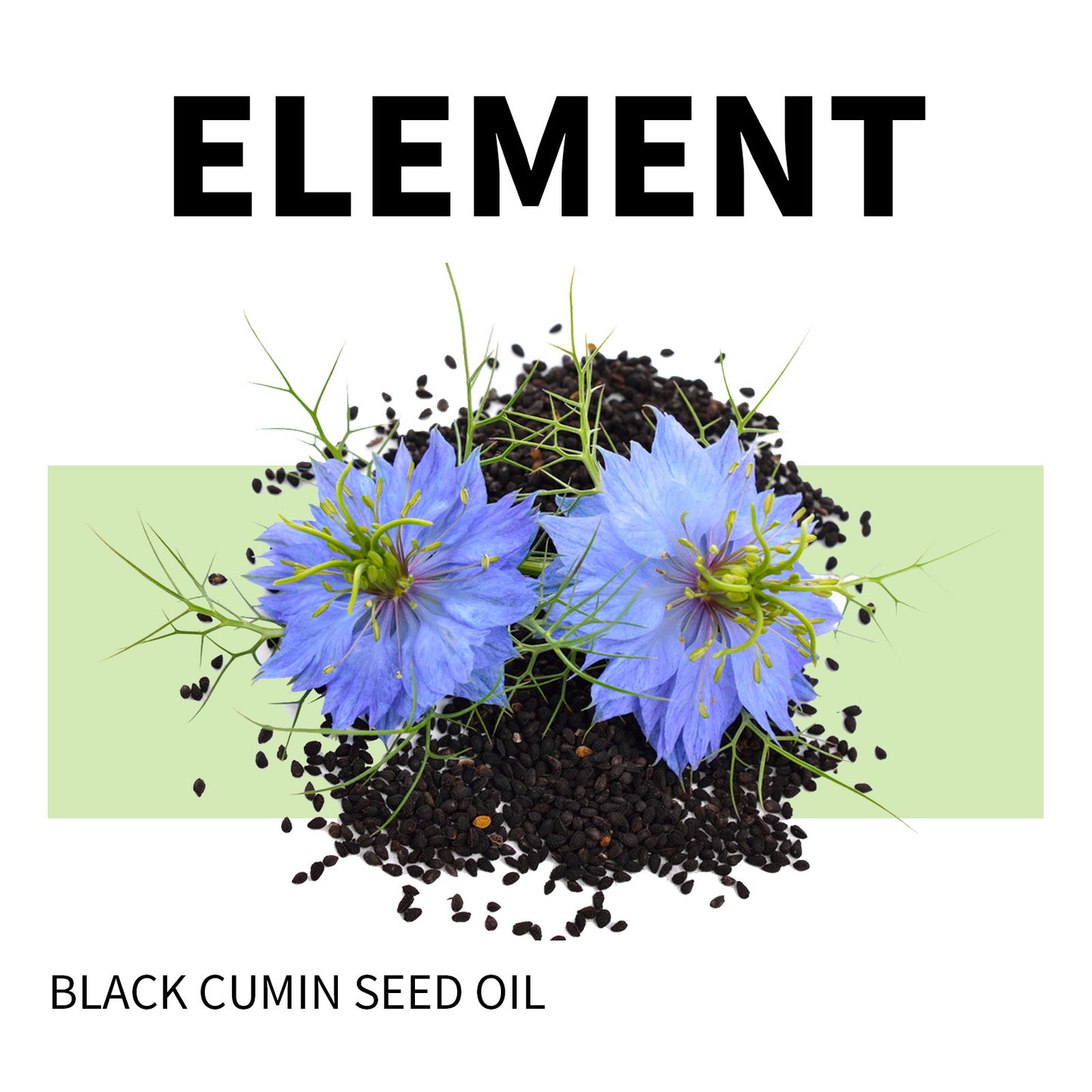 Googeer Cardio Pure Black Seed Oil – Balance Blood Lipids, Sugar & Body Care Oral Drops