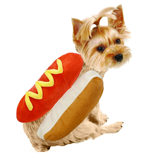 Dog wearing funny hot dog costume pet clothes for Halloween and Christmas party